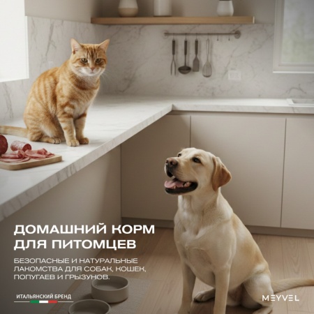 Дегидратор Meyvel MDH5-1P (Чёрный)